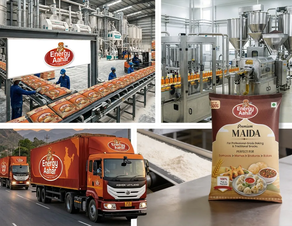 High-Capacity, Fully Organised Production Facility 1